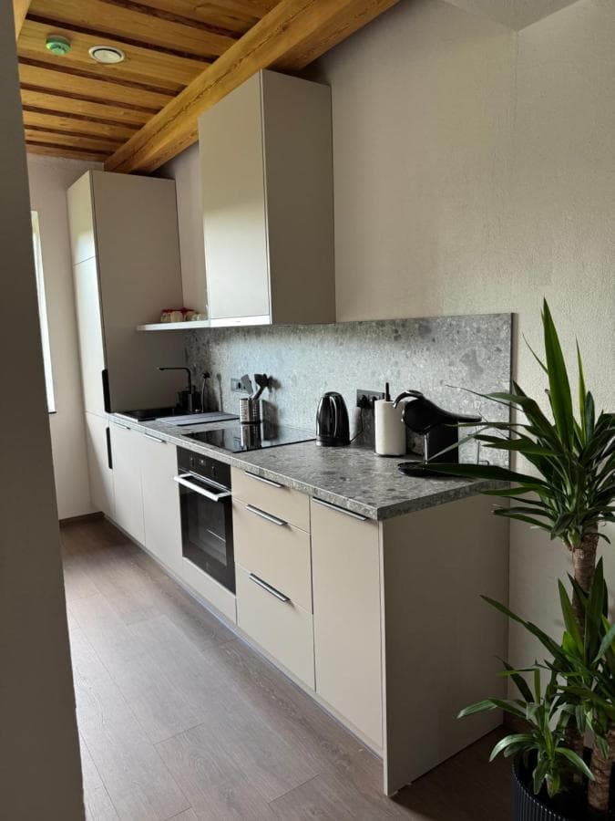 Svetainės zona su televizoriumi, sofa ir langais į lauką